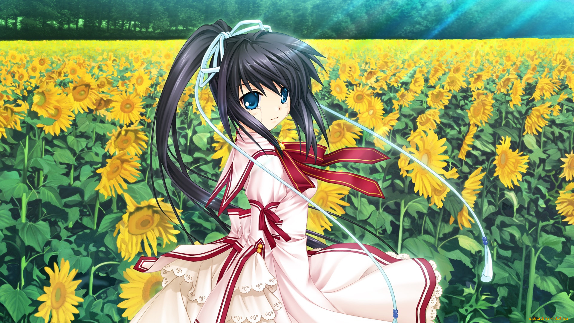 , rewrite, , , 